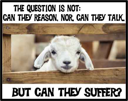 can they suffer – RARE bags