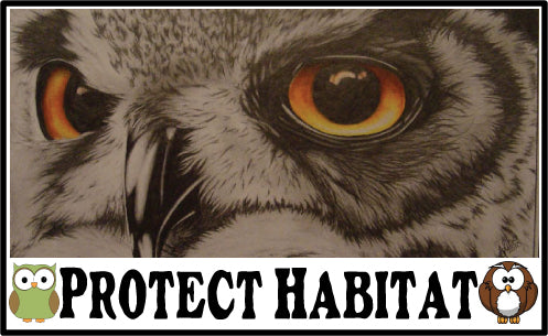 owl protect habitat