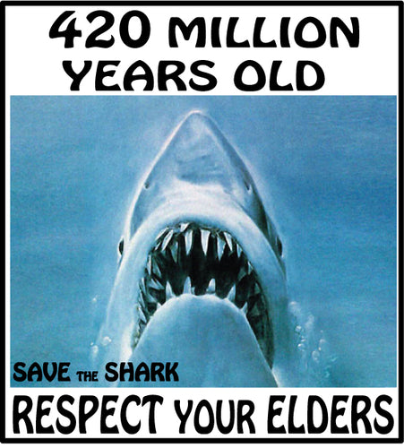 shark respect elders