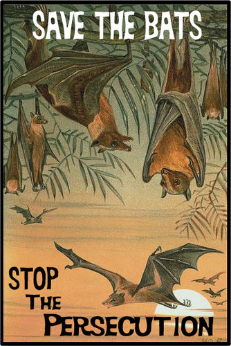 bats persecution