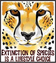cheetah extinction