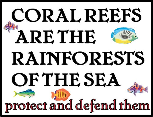 coral reefs rainforest sea