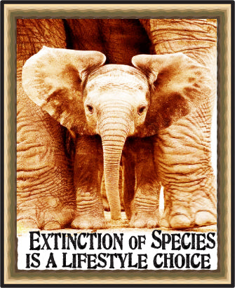 elephant extinction