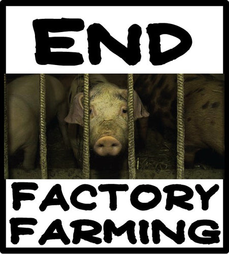 end factory farming