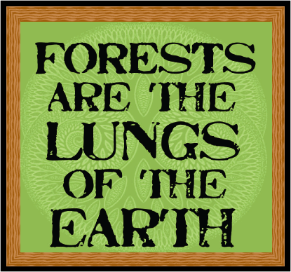 forest lungs