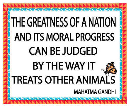 greatness nation
