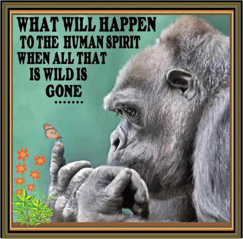 gorilla human spirit