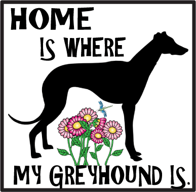 greyhound home