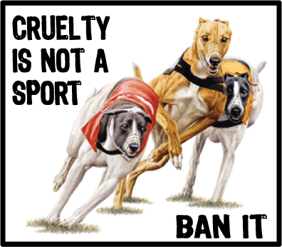 greyhound ban