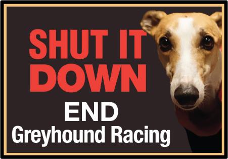 greyhound shutdown