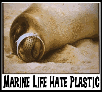 marine life hate plastic