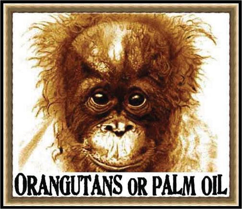 orang palm oil