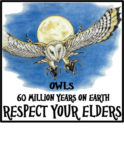 owl respect elders