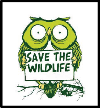 save wildlife owl