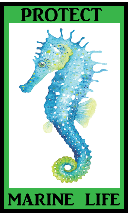 seahorse