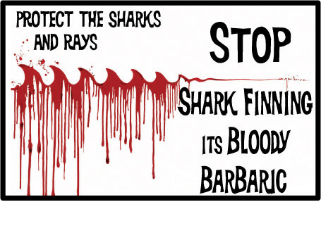 sharkfinning