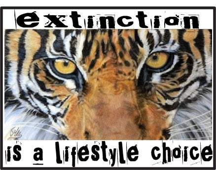 tiger extinction eyes