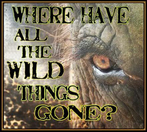 where have wild things